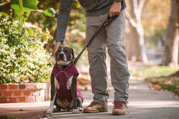 Ruffwear Stumptown Jacket Larkspur Purple Gr. XL